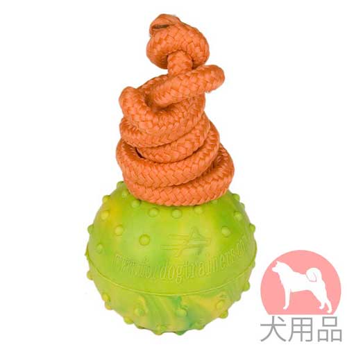固形ゴムのひも付き犬　ボール(5cm)