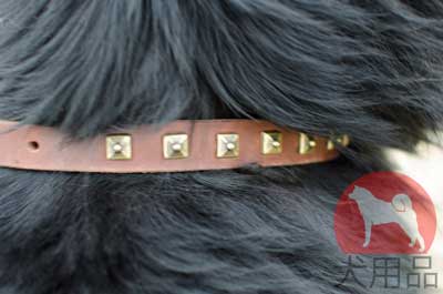 ニューファンドランド　デコカラー　上質な本革製