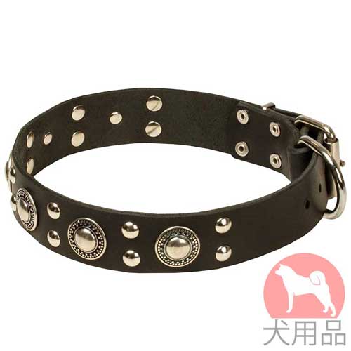 コンチョ付き犬首輪(丸型スタッズ、40mm)