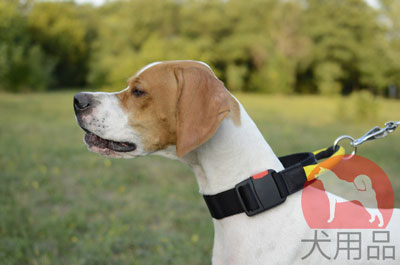 ポインター　首輪　ナイロン製　ハンドル付き