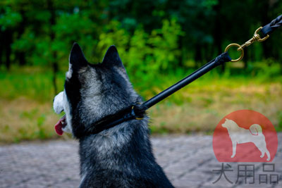 犬　しつけ　チョークカラー　本革製
