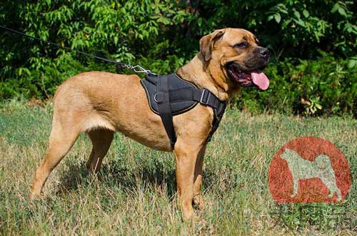 ウェイトプル対応の多目的ハーネス