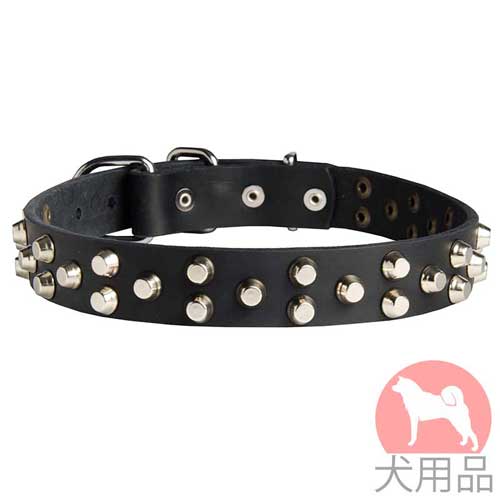 ピラミッド付中型犬　首輪(2+1,ニッケル)