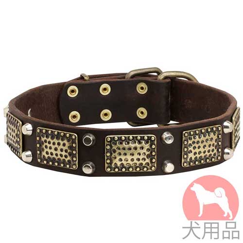 プレート付き中型犬の首輪(黄銅プレートとニッケルピラミッド)
