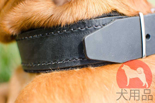 犬用首輪│フェルト裏地付きのレザーカラー