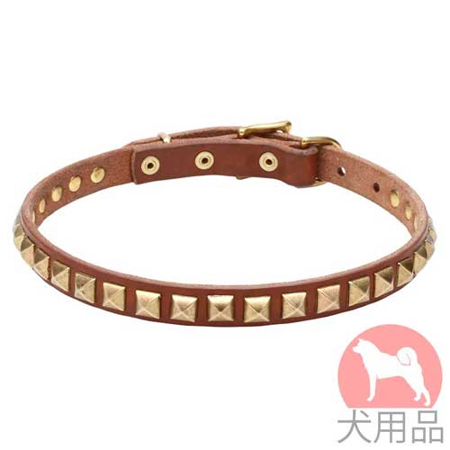 スタッズ　首輪(黄銅、20mm)