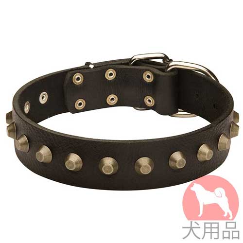 ピラミッド付き革　首輪(黄銅,40mm)