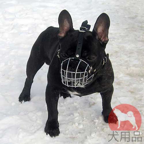 フレンチブルドッグ　口輪