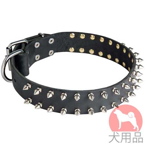 スパイク付犬　首輪(2連、40mm、ニッケル)