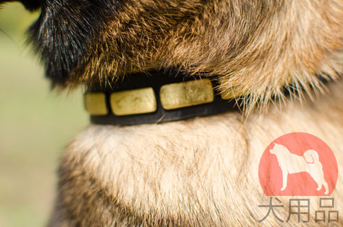 大型犬用デコ首輪(黄銅製)