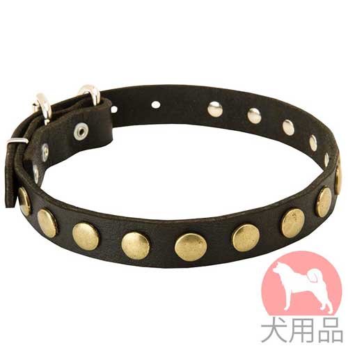 丸型スタッズ付犬　首輪(25mm,黄銅)