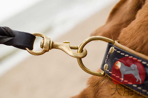 犬用首輪│ボルドー・マスティフ用三つ編み付首輪