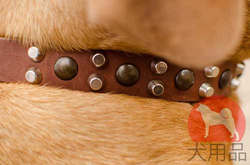 ミックス金具付きボルドーマスティフ用首輪