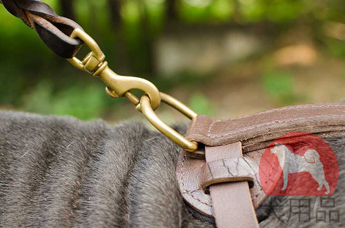 通気性が良い革ハーネス