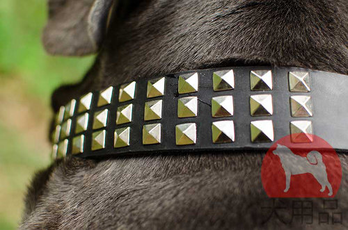 3連ピラミッド付き革　首輪