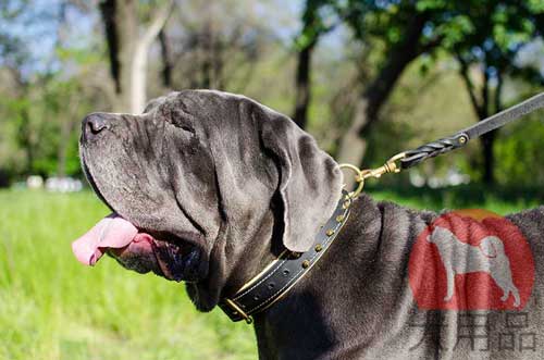 大型犬　首輪(スパイク)