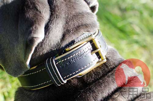 毛切れ防止　首輪(ダブルレザー)