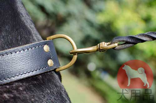 超大型犬用首輪