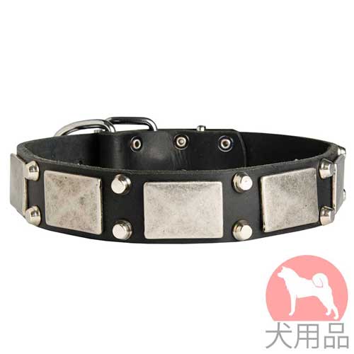 プレート付き本革　首輪(ニッケルピラミッド)