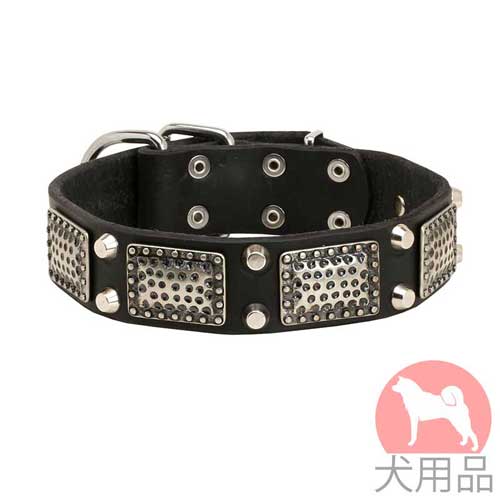 プレート付き大型犬用首輪(ニッケル)