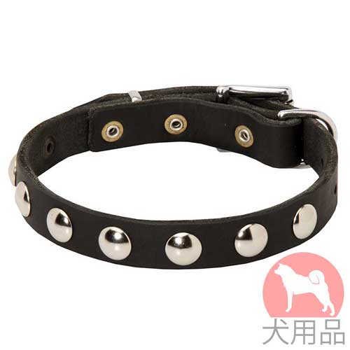 丸型スタッズ付犬　首輪(19mm,ニッケル)