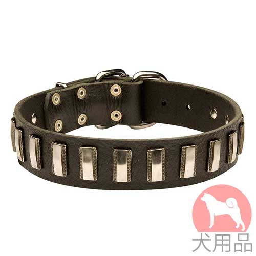 プレート付き犬　首輪(ニッケル)