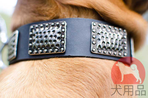 犬用首輪│ボルドー・マスティフ用ニッケルプレート首輪
