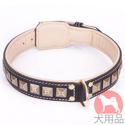 大型犬用二重革　スタイルカラー