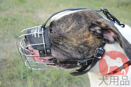 【 大型犬用口輪】アメリカンブルドッグ用マズル