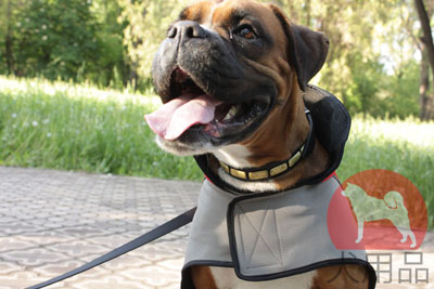 ボクサー用ナイロンコート