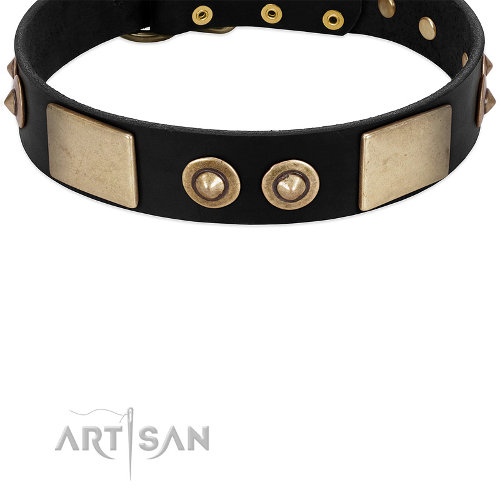 FDT ARTISAN 高級犬用首輪　かっこいいプレート付