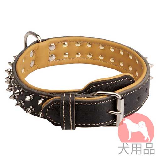 ダブルレザー首輪(ニッケル)