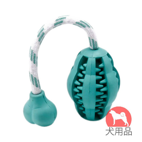 犬用デンタルケアおもちゃ　メロン型