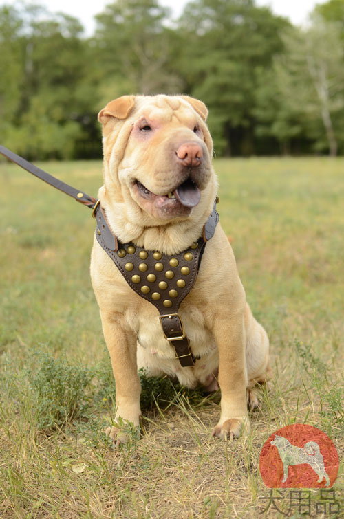 大型犬向けのデザインハーネス