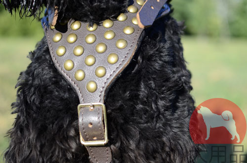 大型犬用可愛らしいデザインのハーネス