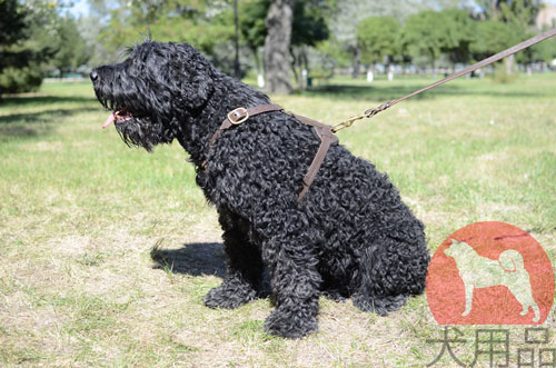 大型犬用通気性が良いハーネス