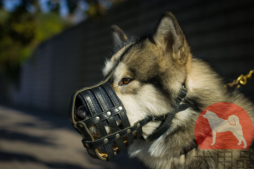 大型犬用口輪 柔らかい本革製 大型犬用口輪 柔らかい本革製