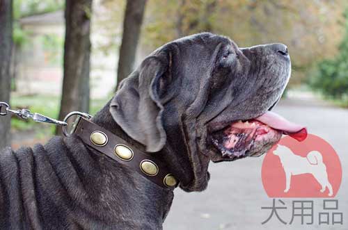 大型犬用首輪(上品プレート付き)