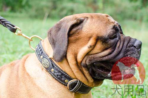 大型犬　首輪(ナッパ革付)