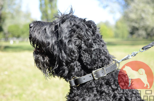 2 way本革首輪　かっこいいスタイル