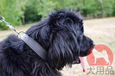 ニューファンドランド　首輪　上質な革製　裏地付き　シンプルデザイン