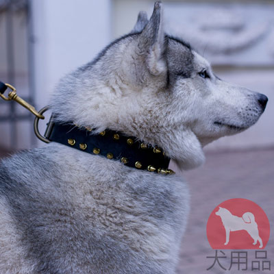 シベリアンハスキー　首輪　上質な革製