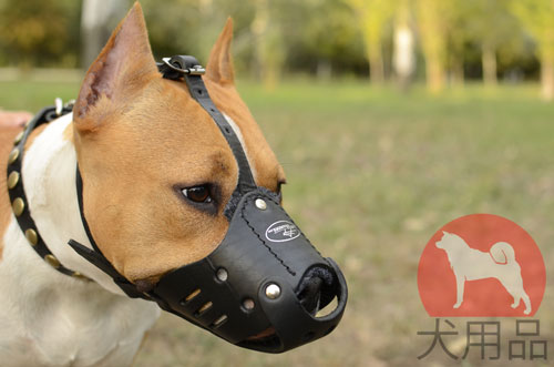 大型犬用本革製口輪