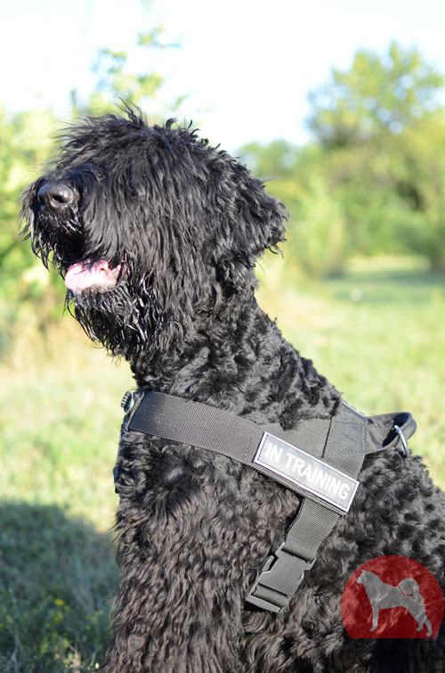 大型犬用引っ張り防止胴輪