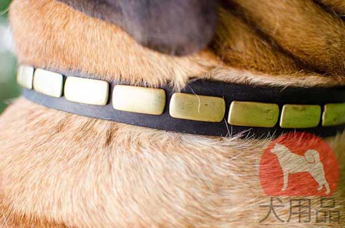 ブルマスティフ　首輪(横プレート)