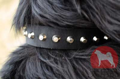 ニューファンドランド　首輪　ナイロン製　かっこいいスタッズ付き