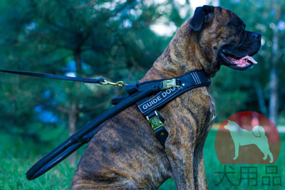 大型犬　ナイロンハーネス　ハンドル付