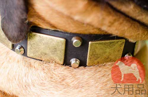 大型犬　首輪(プレートとピラミッド)