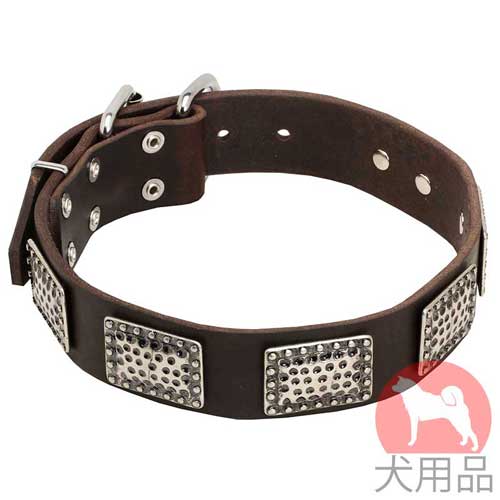 プレート付き中型犬の首輪(ニッケル)