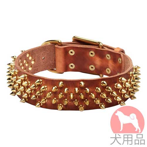 スパイク付き大型犬　首輪(45mm,波型)